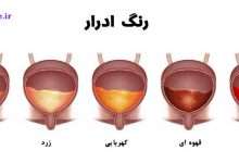 رنگ ادرار